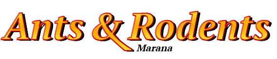 Marana Ant Exterminator & Rodent Control Company Logo